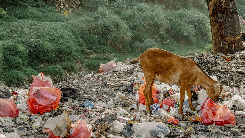 Cara Mengolah Sampah Plastik Rumah Tangga yang Ramah Lingkungan