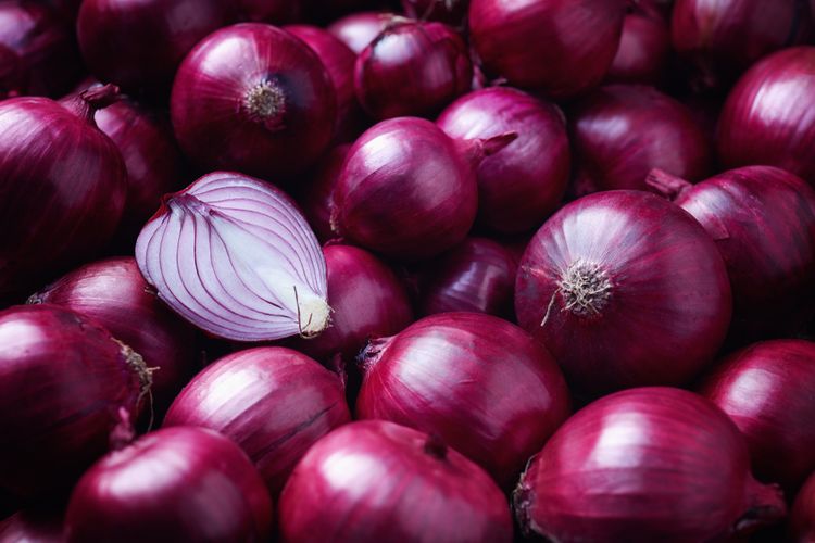 peluang usaha bawang merah goreng