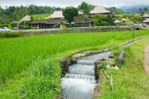 usaha untuk meningkatkan hasil pertanian