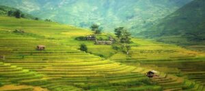 usaha untuk meningkatkan hasil pertanian
