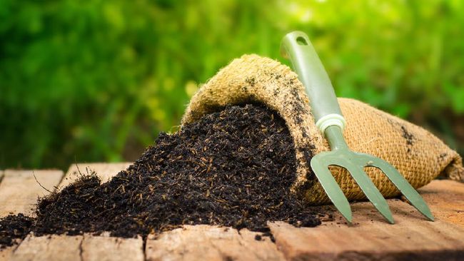 cara membuat kompos dari daun