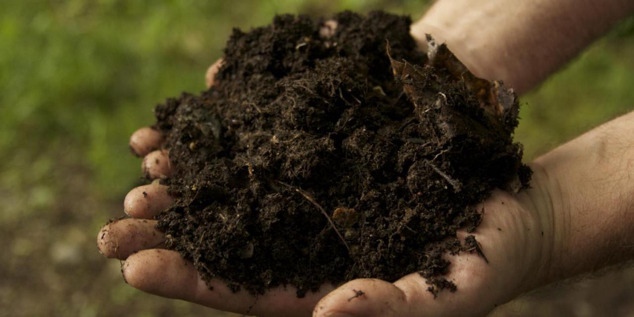 Cara Membuat Kompos Dari Daun
