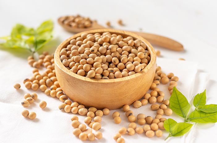 manfaat kacang kedelai