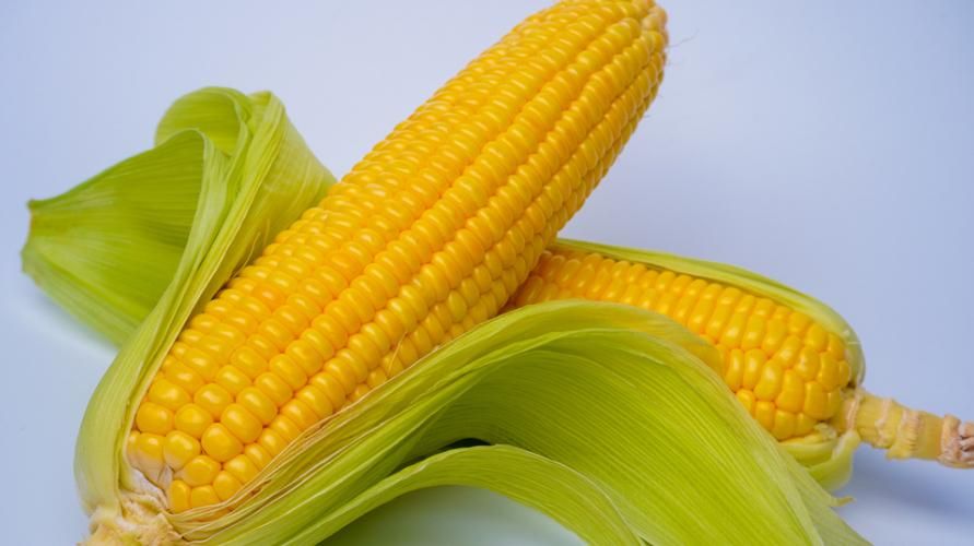 Berikut Ini Berbagai Macam Manfaat Jagung untuk Kesehatan