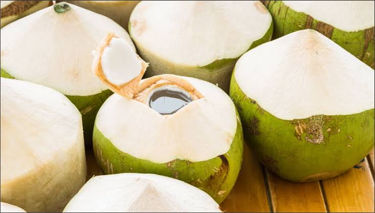 Manfaat konsumsi buah kelapa