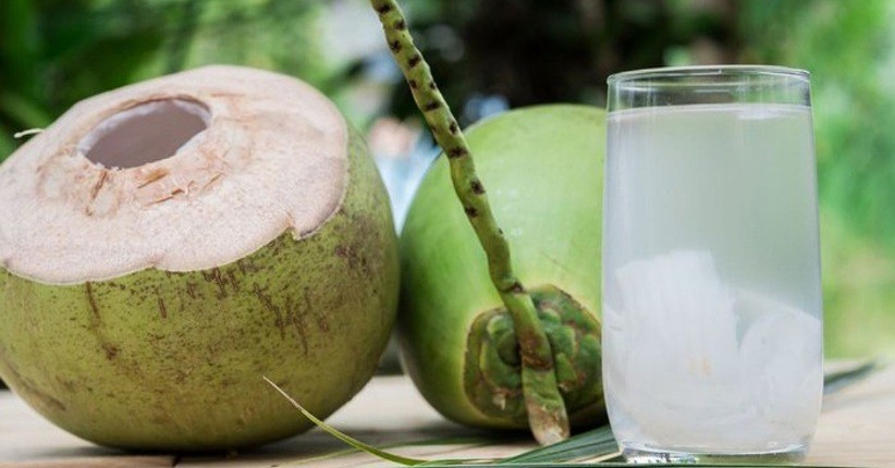 Jenis Kelapa dan Manfaatnya