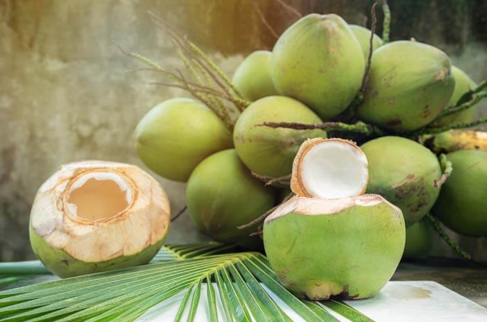 Jenis Kelapa dan Manfaatnya