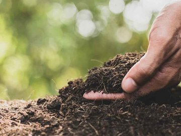 cara membuat pupuk kompos dari rumput liar yang tepat