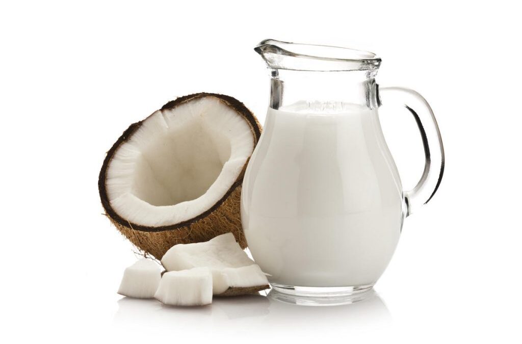 peluang usaha santan kelapa