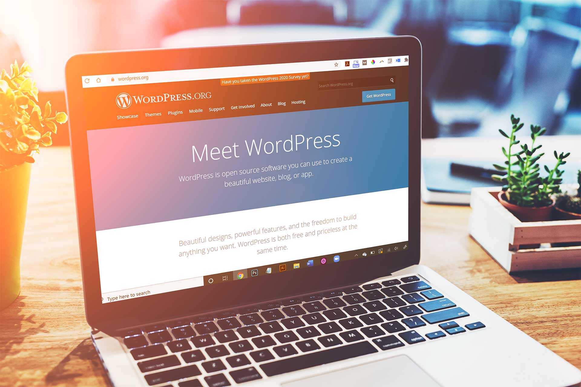 cara meningkatkan pengunjung blog wordpress