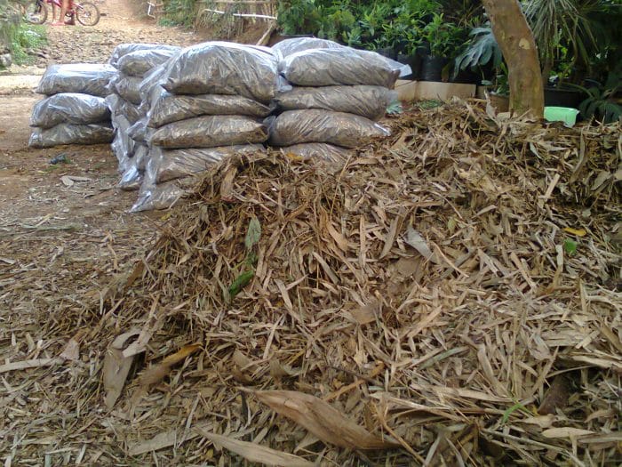 Cara Fermentasi Daun Bambu Kering Untuk Kompos