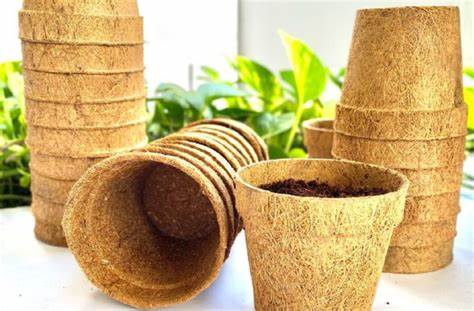 Produk Biodegradable dari Sabut Kelapa: Solusi Alternatif untuk Mengurangi Sampah Plastik