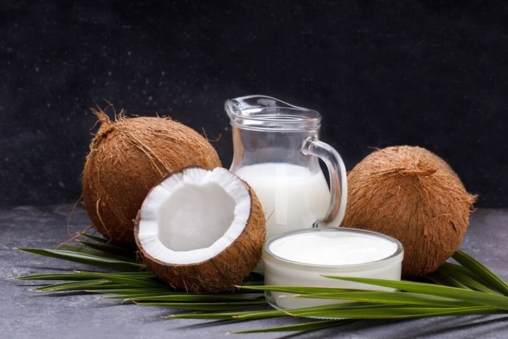 Manfaat Alat Pemeras Santan untuk Produksi Lebih Efisien